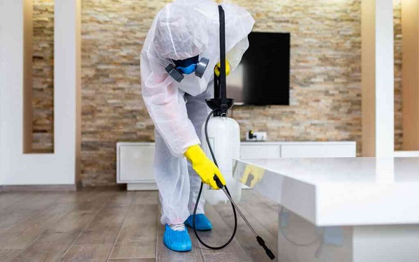 Bạn cần vệ sinh và dọn dẹp lại nhà cửa sau khi phun thuốc xong để đảm bảo an toàn cho mọi người