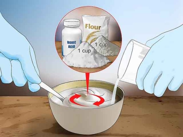 Diệt côn trùng trong nhà bằng acid boric và đường bột